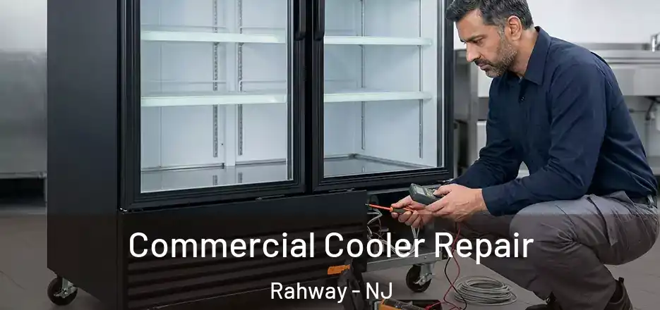 Commercial Cooler Repair Rahway - NJ
