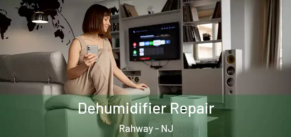 Dehumidifier Repair Rahway - NJ