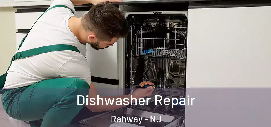  Dishwasher Repair Rahway - NJ