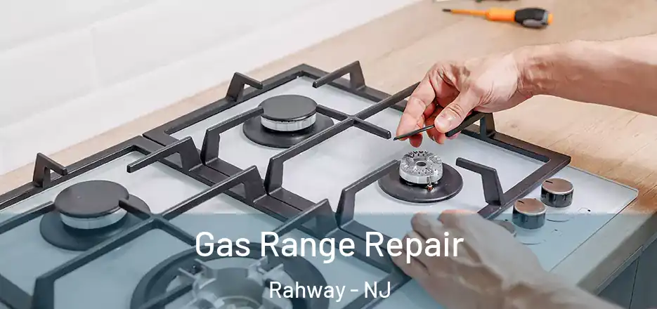 Gas Range Repair Rahway - NJ