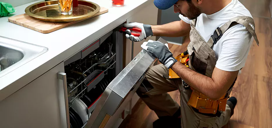 Same Day Dishwasher Not Draining Repair in Rahway