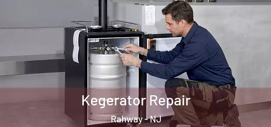 Kegerator Repair Rahway - NJ