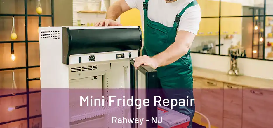 Mini Fridge Repair Rahway - NJ
