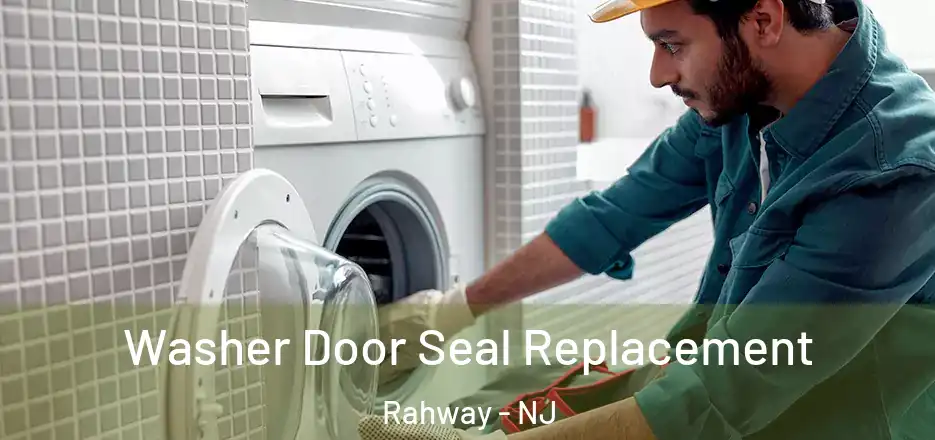  Washer Door Seal Replacement Rahway - NJ